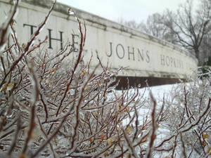 Johns Hopkins University Low Wall Wallpaper