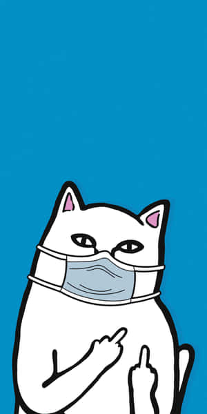 Join Kitty In Being A Ripndip Fan! Wallpaper