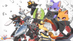 Join The Akatsuki And Unleash Your Cat's Deadly Power Wallpaper