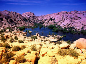 Joshua Tree National Park Small Lake Wallpaper