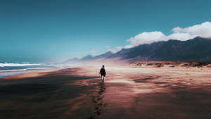 Journey Of A Girl Walking On The Beach Wallpaper