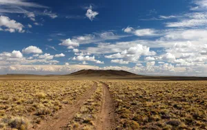 Journey Through The Desert Wallpaper