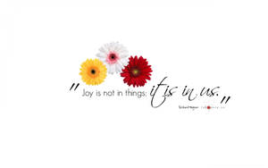 Joy Quote And Daisies Wallpaper