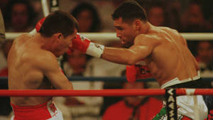 Julio Cesar Chavez Getting Punched Wallpaper