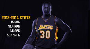 Julius Randle 2013-2014 Stats Wallpaper