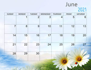 June 2021 Calendar 2560 X 1978 Wallpaper