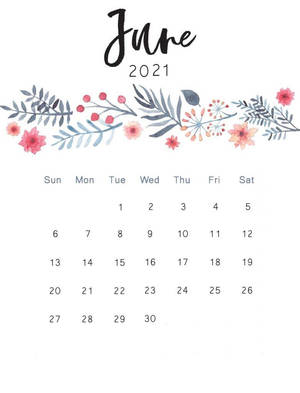 June 2021 Calendar Iphone Screen Theme Wallpaper