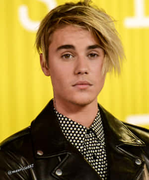 Justin Bieber 2015 Leather Wallpaper