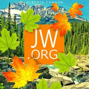 Jworg With Maples Leaves Wallpaper