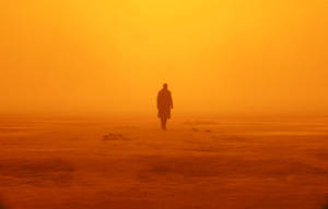 K Blade Runner 2049 In A Brown Field Wallpaper