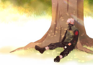 Kakashi 4k Sleeping Under Tree Wallpaper