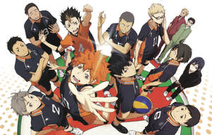 Karasuno High School Haikyuu Teams Wallpaper