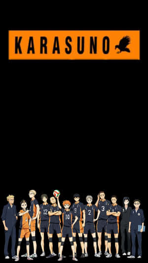 Karasuno - Karasuno Wallpaper Wallpaper