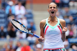 Karolina Pliskova Scoring A Point Wallpaper