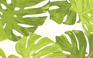 Kate Spade Desktop Hd With Watercolor Leaves Wallpaper