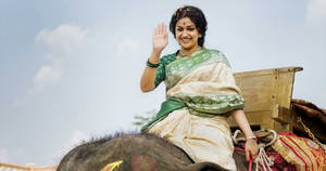 Keerthi Suresh Saree On Elephant Wallpaper