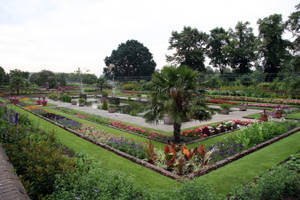 Kensington Gardens Plants Kensington Palace Wallpaper