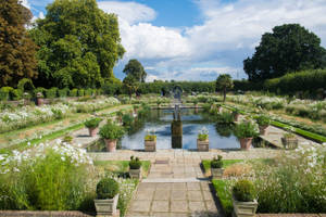 Kensington Palace Garden Blue Sky Wallpaper