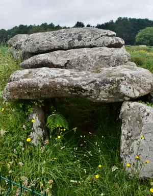 Kermario Dolmen Carnac Stones Burial Chamber Wallpaper