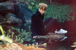 Kim Seok Jin In Lake Wallpaper