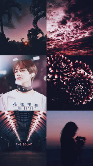 Kim Tae-hyung Aesthetic Dark Red Wallpaper