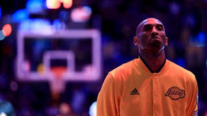 Kobe Bryant Cool In Sweater Wallpaper