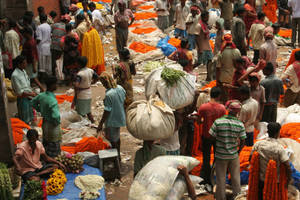 Kolkata Flower Market Wallpaper