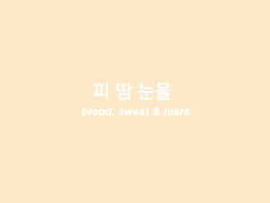 Korean Aesthetic Beige Computer Wallpaper