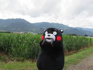 Kumamon Beside A Field Wallpaper