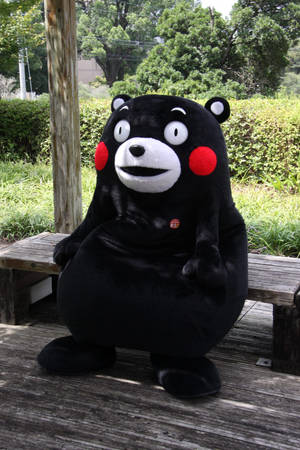 Kumamon Relaxing Under The Shade Wallpaper