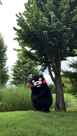 Kumamon Under A Tree Wallpaper