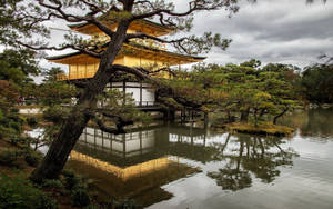 Kyoto Golden Pavilion Wallpaper