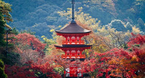 Kyoto Koyasu Pagoda Wallpaper