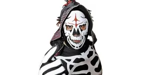 La Parka Luchadorin Maskand Costume Wallpaper