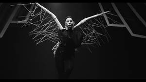 Lady Gaga With Skeleton Wings Wallpaper