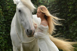 Lady Petting A White Horse Wallpaper