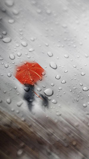 Lady With Cat In Beautiful Rain Wallpaper