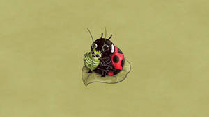 Ladybug Beetle In The Adorable Circle Of Life Wallpaper