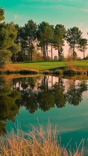 Lake In Golf Course Iphone Wallpaper