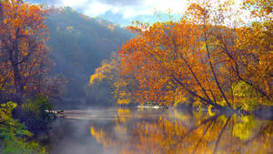 Lake In Ohio Wallpaper