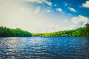 Lake Near An Island Wallpaper