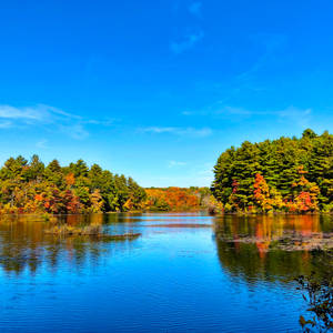 Lake Under The Horizon Wallpaper