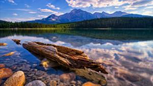 Lake View With Rotten Log Wallpaper