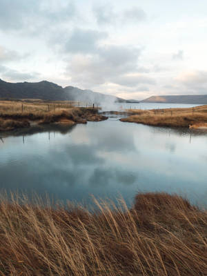 Lake With Wheat Grass Wallpaper