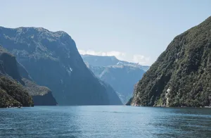 Large Green Milford Sound Wallpaper