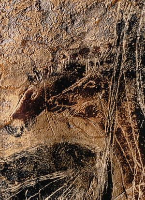 Lascaux Caves Wallpaper
