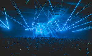 Laser Concert Party Wallpaper