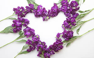 Lavender Aesthetic Flower Heart Wallpaper