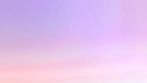 Lavender Pink Gradient Wallpaper