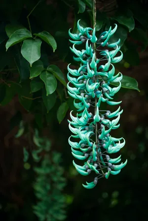 Lavender Teal Flower Wallpaper
